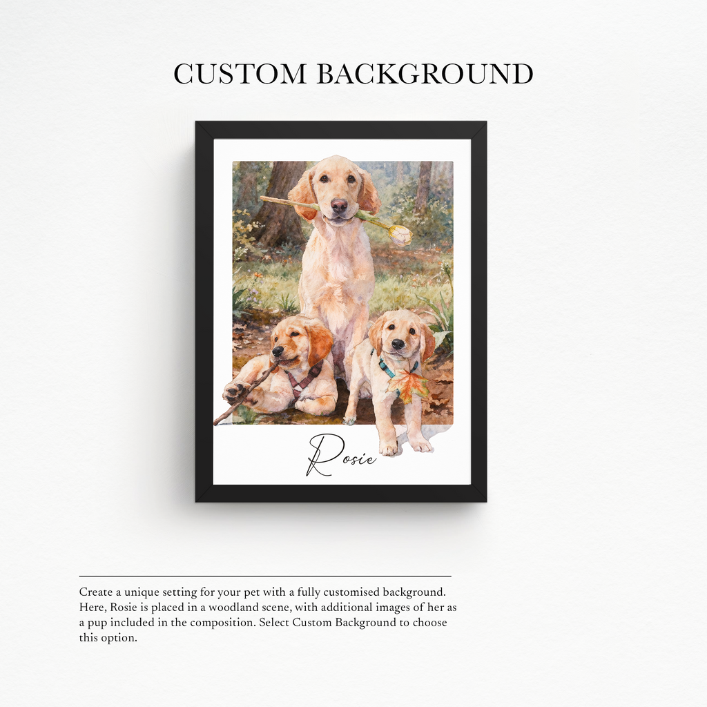 PET PORTRAIT