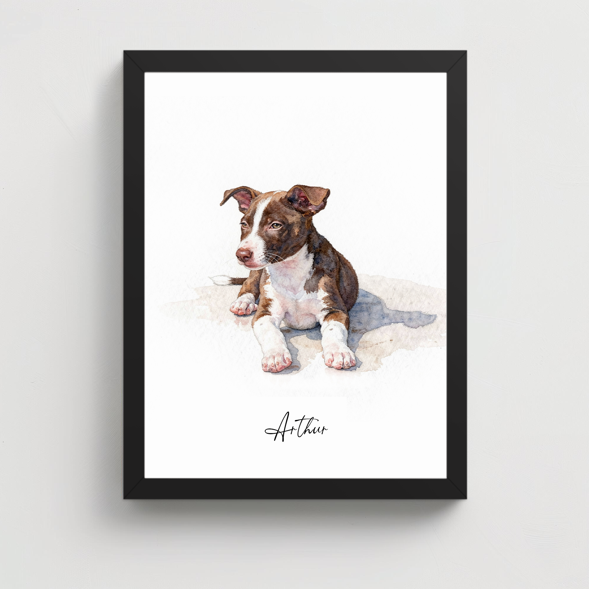 PET PORTRAIT